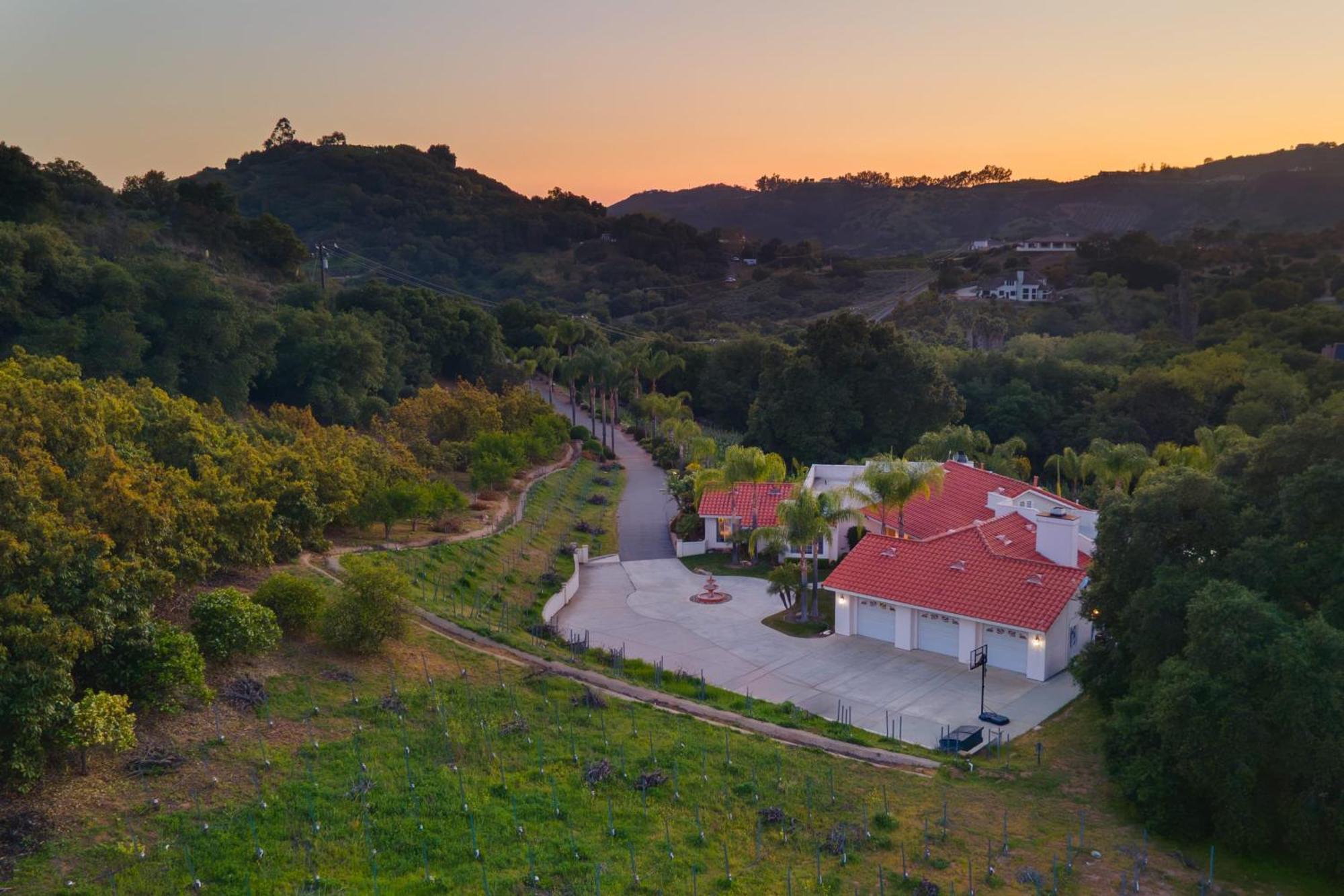 Grapevine By Avantstay Secluded 5Br Villa 4 Acres Of Vineyards Avo Groves Temecula Exterior photo
